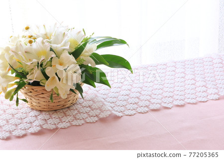 白花安排 白花安排 77205365