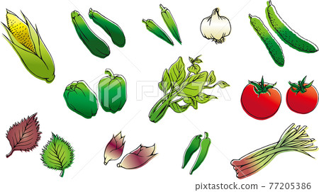 Summer vegetable Summer vegetable 77205386
