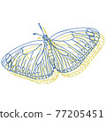 蝴蝶 77205451
