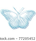 蝴蝶 77205452