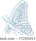 蝴蝶 77205453