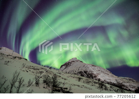 Watching the aurora 77205612