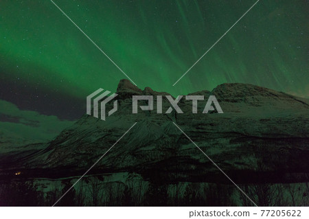 使樹木發光的極光 77205622