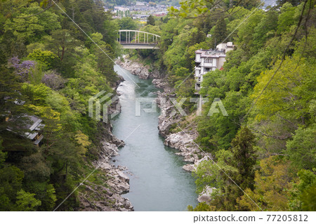 Fresh green Tenkyusukyo 77205812