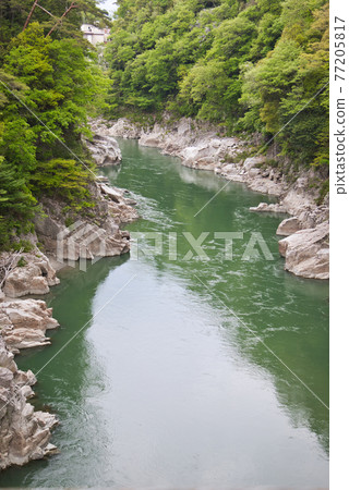 Fresh green Tenkyusukyo Fresh green Tenkyusukyo 77205817