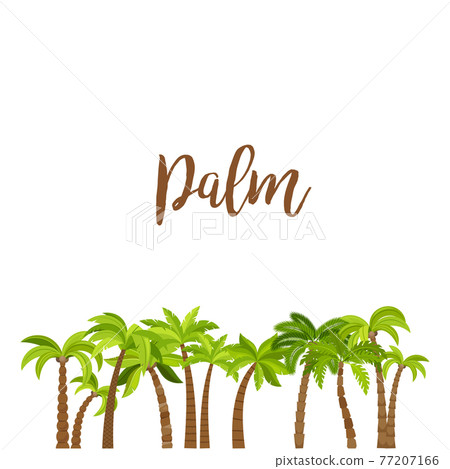 Cartoon colored palm trees forest 77207166
