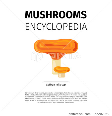 Saffron milk cap mushroom 77207969