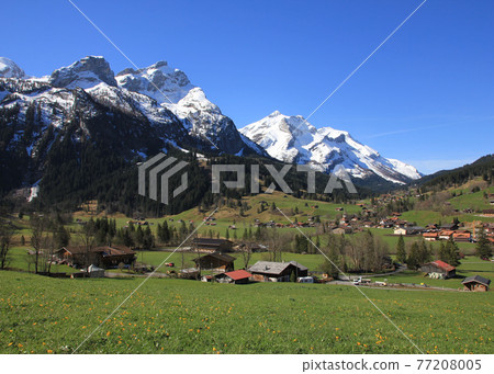 Village Gsteig bei Gstaad and snow covered mountains on a spring day. Village Gsteig bei Gstaad and snow covered mountains on a spring day. 77208005