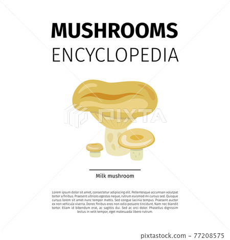 Milk mushroom illustration Milk mushroom illustration 77208575