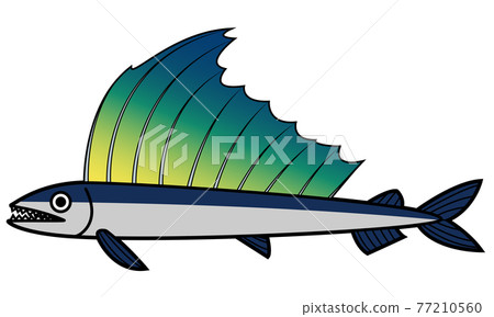 長吻帆蜥魚 長吻帆蜥魚 77210560