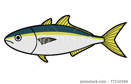 黃尾魚 黃尾魚 77210569
