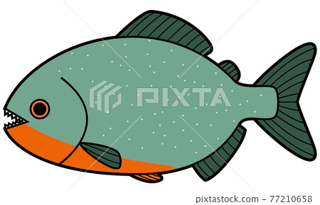 Piranha 77210658