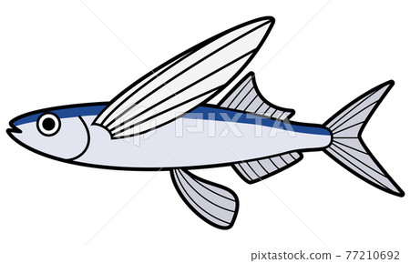 飛魚 77210692
