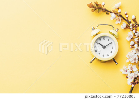 Spring time background. May flowers and April floral nature with alarm clock on yellow. Branches of blossoming apricot macro with soft focus. For easter greeting cards with copy space. Springtime. 77210803