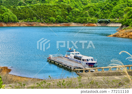 Spring Miyagase dam lake, Kanagawa prefecture 77211110