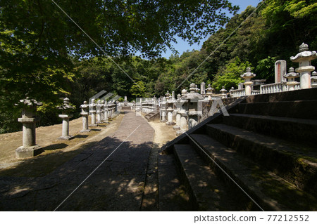 Tottori four seasons walk spring Ikeda family graveyard Tottori four seasons walk spring Ikeda family graveyard 77212552