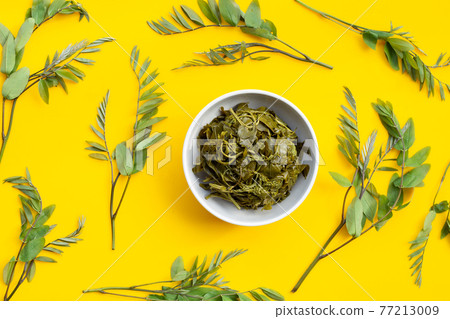 Senna siamea boiled leaves in white bowl on yellow background. 77213009