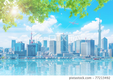 Tokyo cityscape Tokyo cityscape 77213492