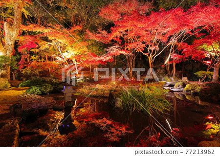 Xu District Xu District 77213962