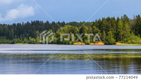 Beautiful panorama of the forest lake Beautiful panorama of the forest lake 77214049