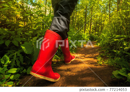 A girl in red rubber boots is walking along a forest path A girl in red rubber boots is walking along a forest path 77214053