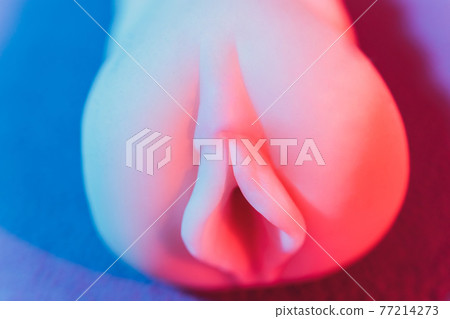Close-up of male sex toy, realistic vagina masturbator. 77214273