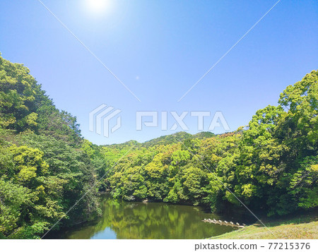 有清新池塘的風景 77215376