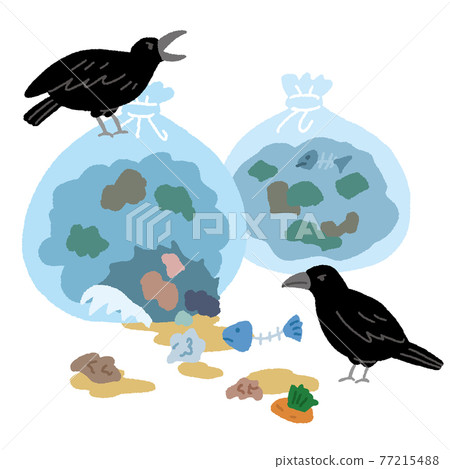 A crow that vandalizes the garbage in the garbage storage area from home A crow that vandalizes the garbage in the garbage storage area from home 77215488