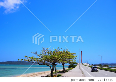 沖繩春天的水下小路 沖繩春天的水下小路 77215740