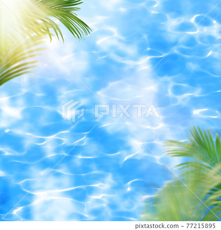 閃閃發光的水和棕櫚葉-有多種變化 77215895