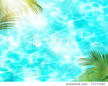 閃閃發光的水和棕櫚葉-有多種變化 77215897