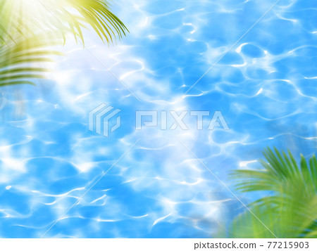 閃閃發光的水和棕櫚葉-有多種變化 閃閃發光的水和棕櫚葉-有多種變化 77215903