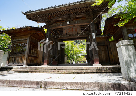 修善寺 <靜岡縣伊豆市修善寺 / 4月> 77216425