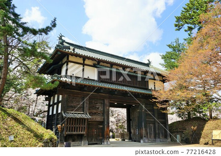 櫻花名勝弘前公園 77216428