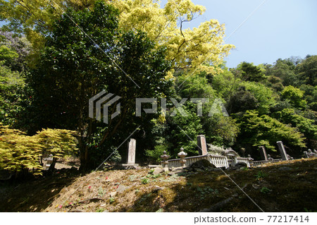 Tottori four seasons walk spring Ikeda family graveyard Tottori four seasons walk spring Ikeda family graveyard 77217414