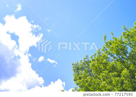 藍色的天空和雲圖像 藍色的天空和雲圖像 77217593