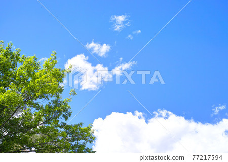 Blue sky and cloud image Blue sky and cloud image 77217594
