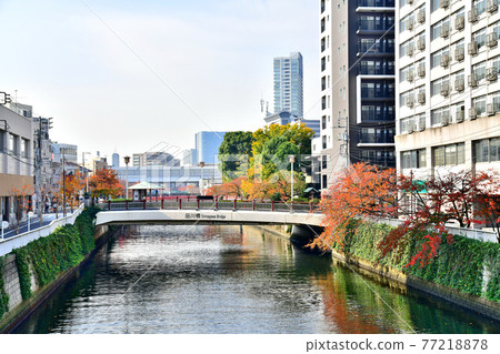 新品川大橋/目黑川上游目黑川/品川大橋（東京都品川區）[2020.11] 77218878