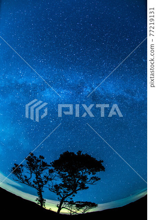 Akiyoshidai, the star of the sky 77219131