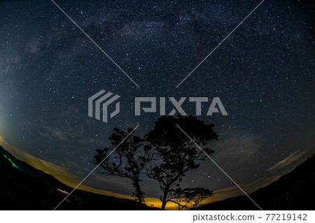 Akiyoshidai, the star of the sky 77219142