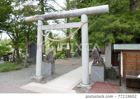 Daio Wasabi Farm Nagano Prefecture 77219602