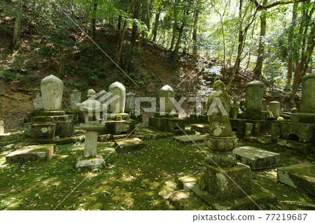 Tottori four seasons walk spring Ikeda family graveyard Tottori four seasons walk spring Ikeda family graveyard 77219687