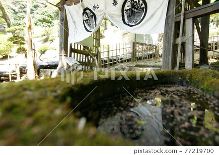 鳥取四季漫步春天池田家墓地 77219700