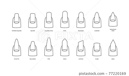 Nail shapes in black line with inscriptions, vector illustration isolated. Nail shapes in black line with inscriptions, vector illustration isolated. 77220169