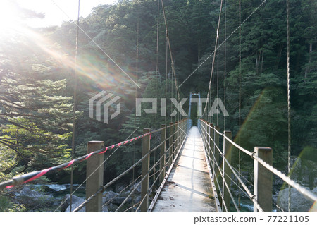 屋久杉樂園澤津橋 屋久杉樂園澤津橋 77221105