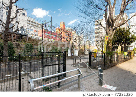 Jingu-dori Park in Shibuya-ku, Tokyo 77221320