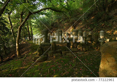 Tottori four seasons walk spring Ikeda family graveyard Tottori four seasons walk spring Ikeda family graveyard 77222961