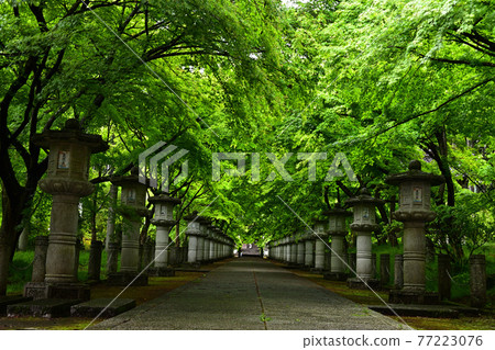 從高山寺 從高山寺 77223076