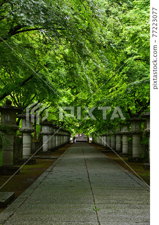 From Kosanji Temple From Kosanji Temple 77223077