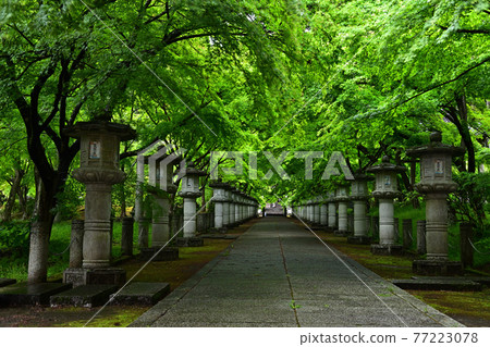 From Kosanji Temple 77223078